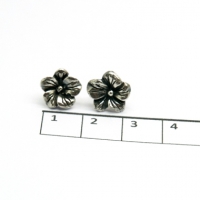 Zilveren oorstekers Pelargonium